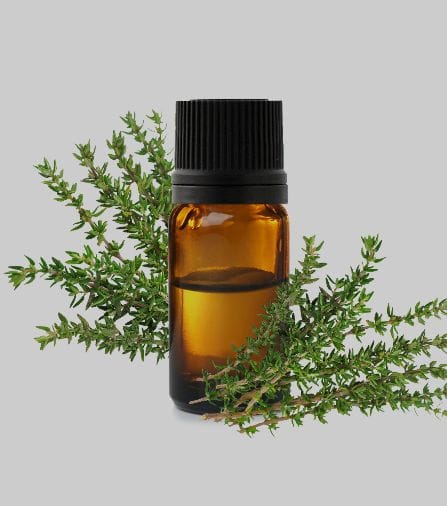 Huile Essentielle de Thym